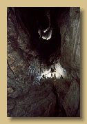 NL: In de grootste put van de grot, de 116 m. diepe "Pozo Grande".  We verspeelden er ruim een uur daar we het oude en versleten vaste touw door een nieuw vervingen.  (-500m)  EN: In the biggest pitch of the cave, the 116 m. deep "Pozo Grande".  We lost over an hour there, because we had to replace the old rope that had been permanently rigged and was very worn (-500m). Scan052